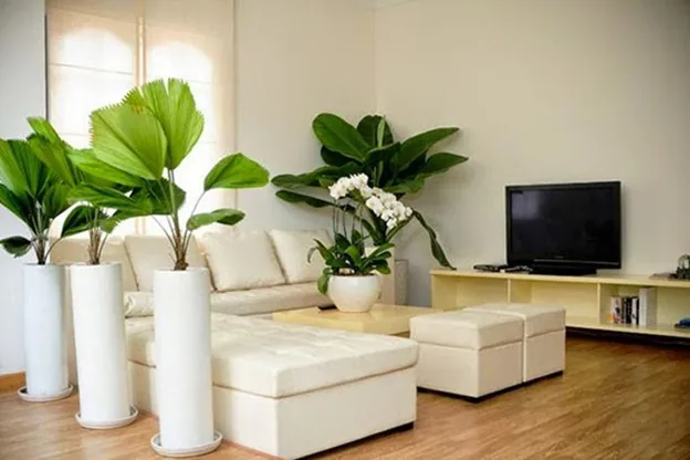 Những lưu ý trong phong thủy nhà ở cần biết