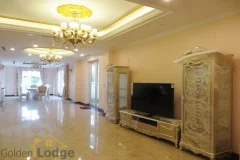 Full nice furniture villa for rent in Vinhomes Riverside Long Bien 5
