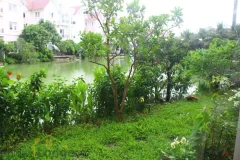 Furnished 03 bedrooms Vinhomes Riverside villa outdoor pool nearby 4