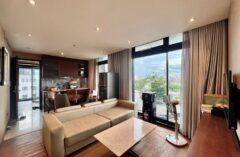 Top floor 1-bedroom apartment in Hoan Kiem for rent massive terrace